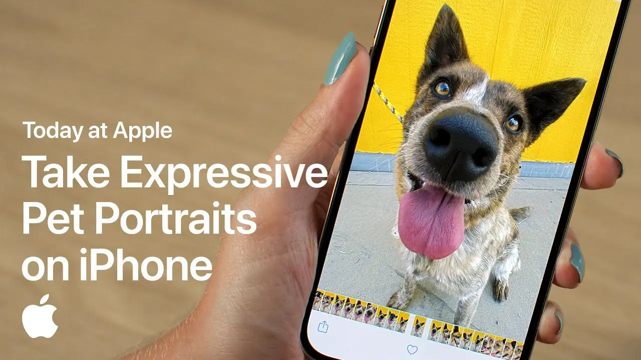 Today at Apple: Hướng dẫn chụp ảnh chân dung thú cưng đầy ấn tượng