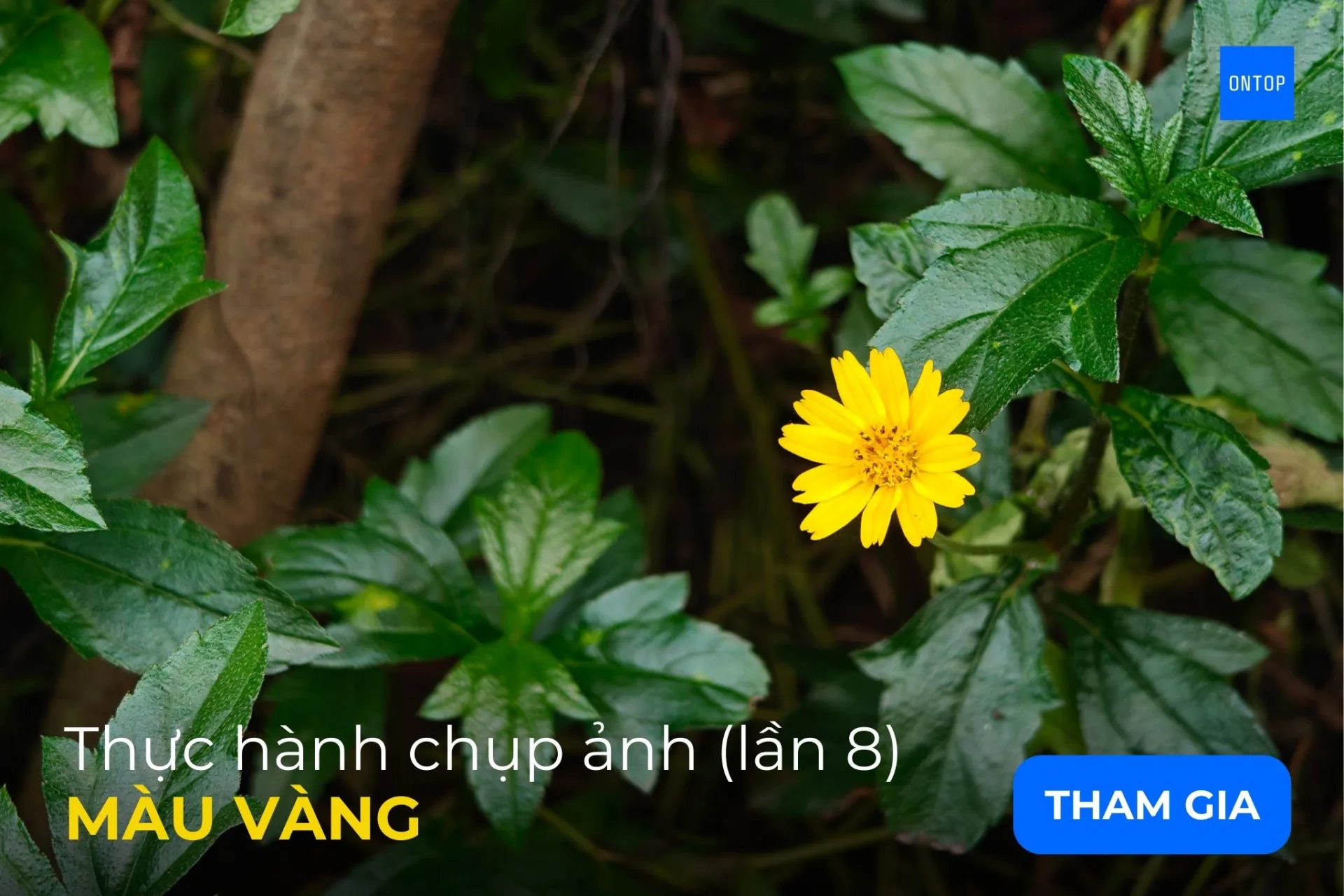 Thực hành chụp ảnh LẦN 8