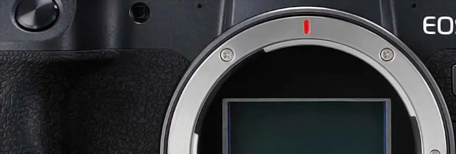 Canon RF mount cameras.jpg